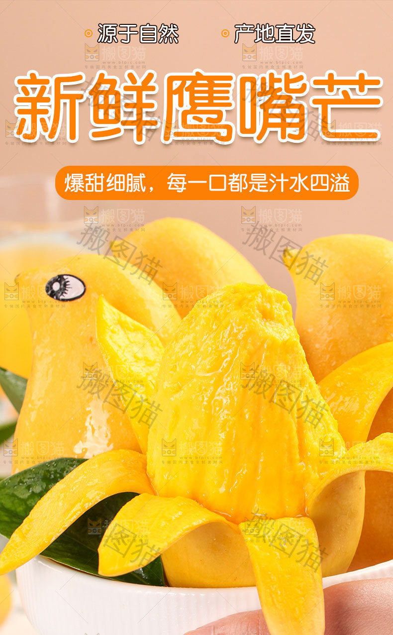 鹰嘴芒详情页