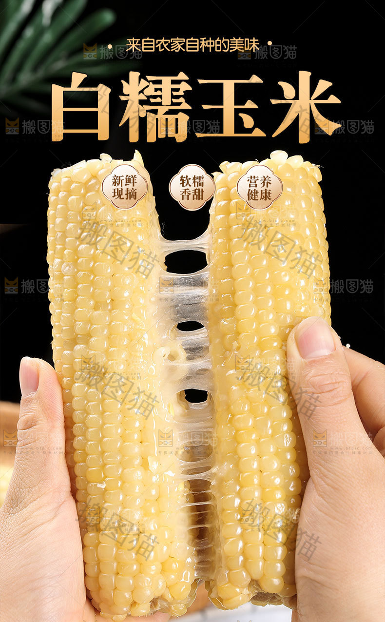白糯玉米详情页