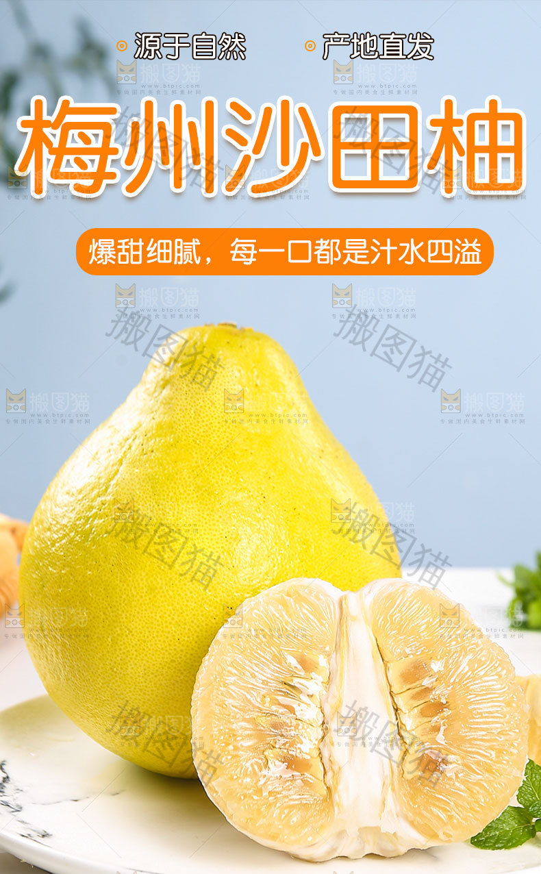 新鲜沙田柚详情页
