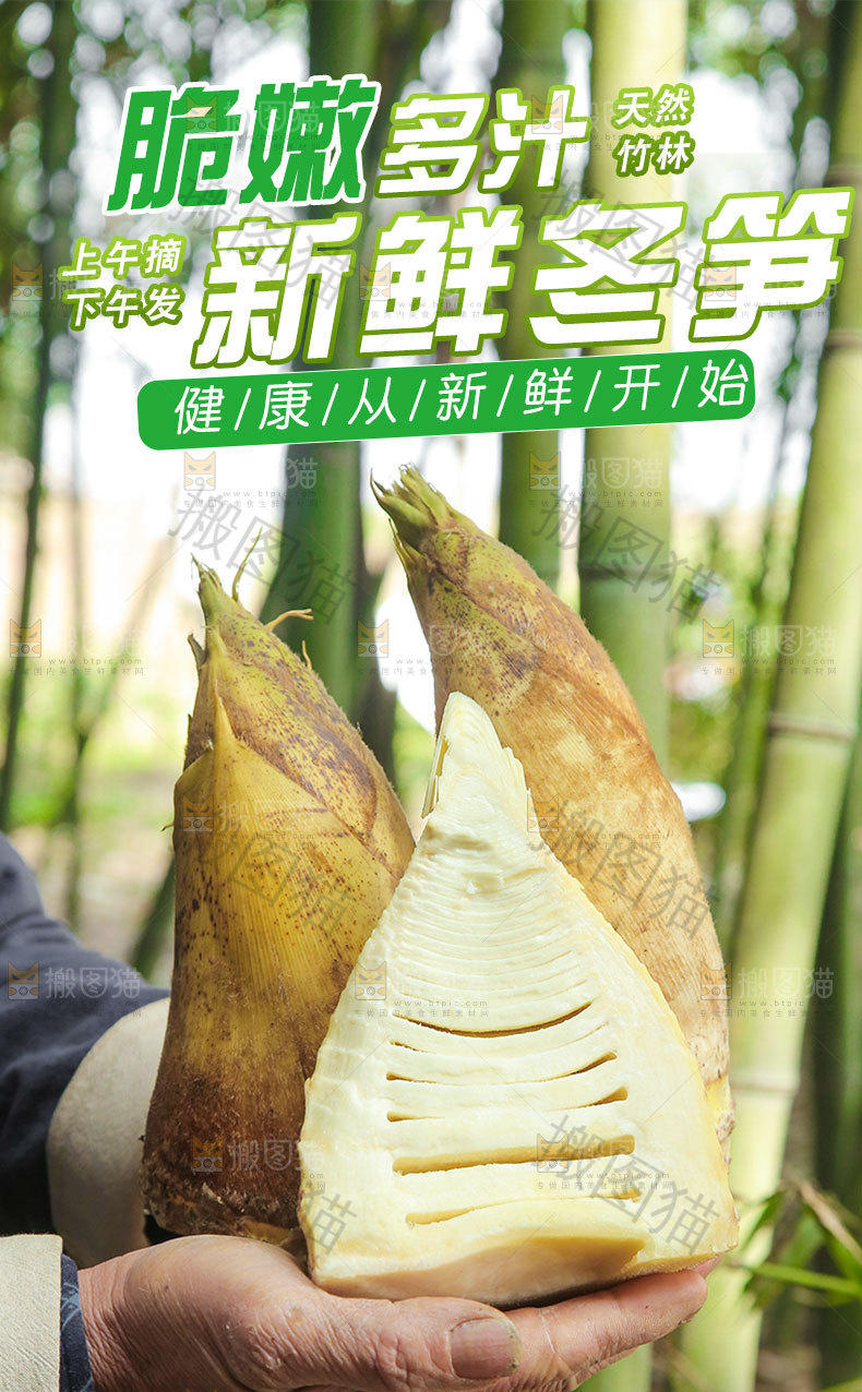 新鲜冬笋详情页