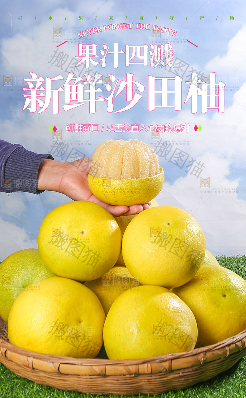 梅州沙田柚详情页