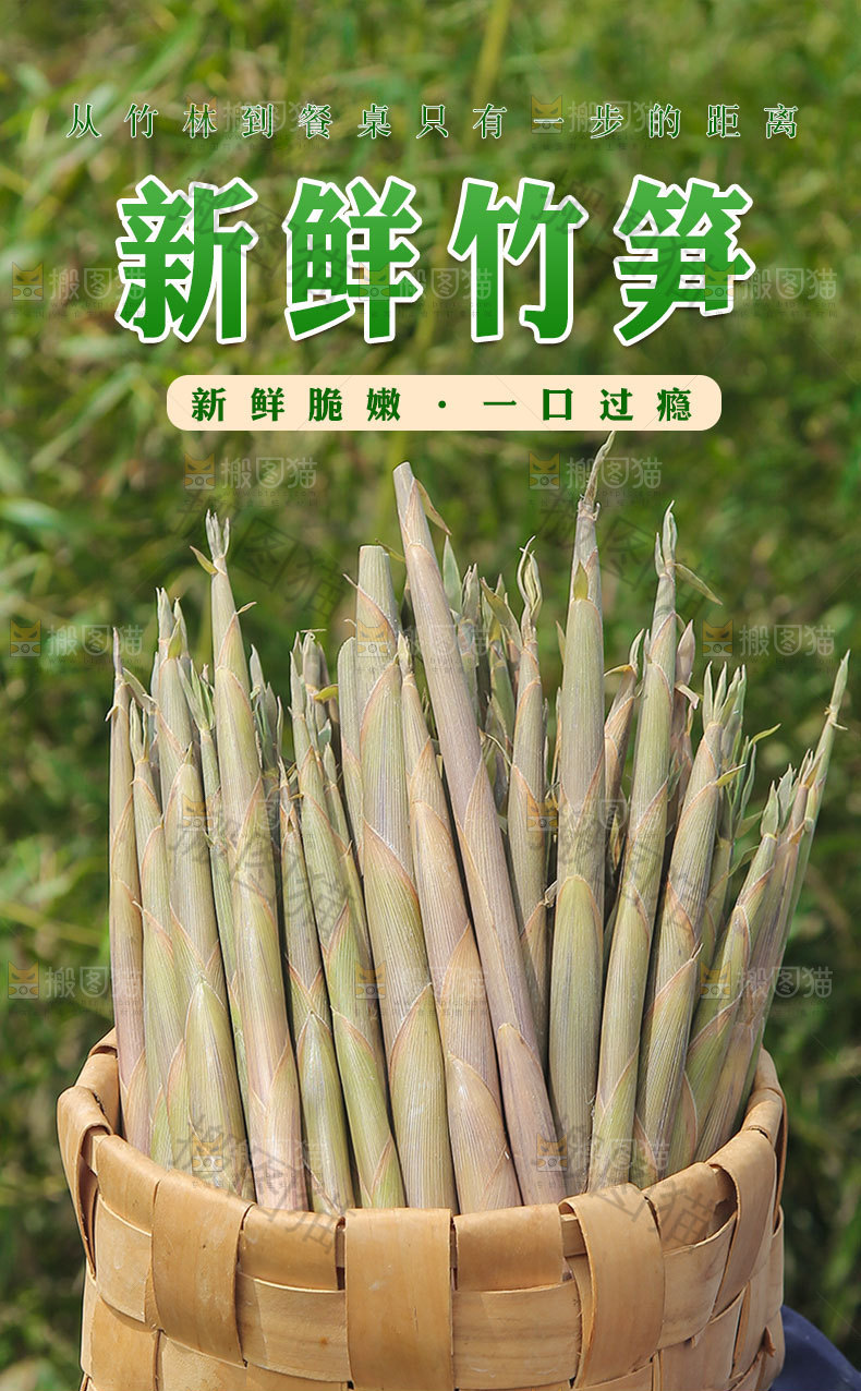 新鲜竹笋详情页