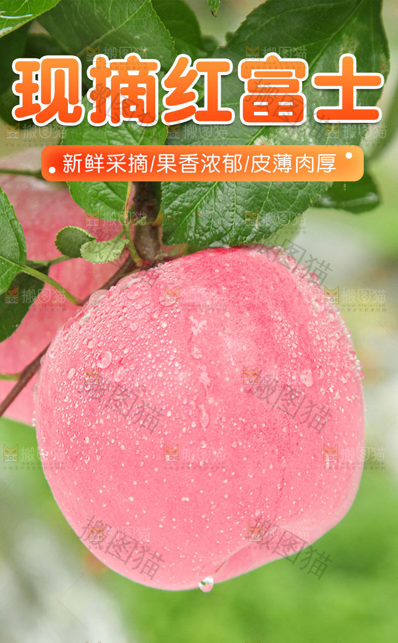 红富士详情页