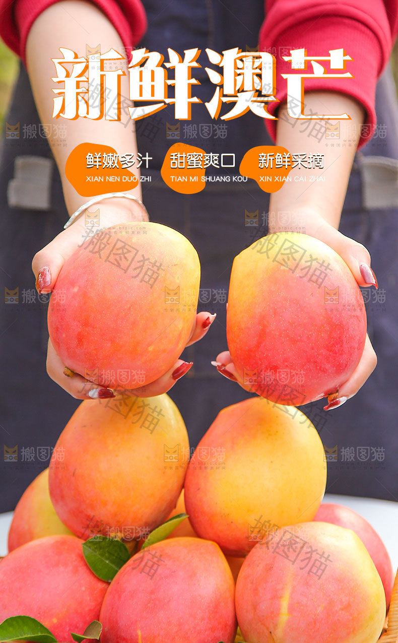 澳芒详情页