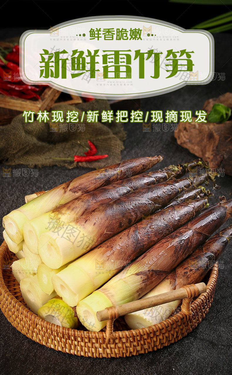 新鲜雷竹笋详情页