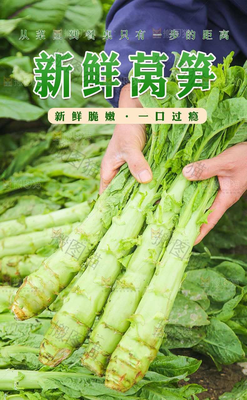 莴笋详情页