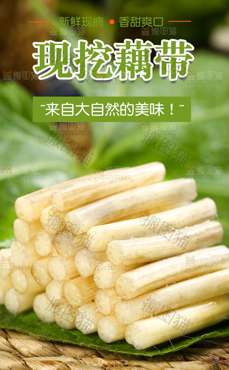 新鲜藕带详情页