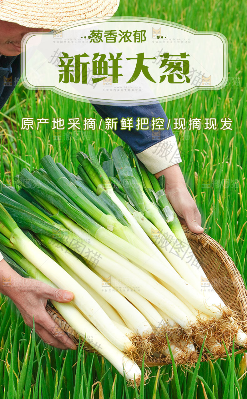 大葱详情页设计