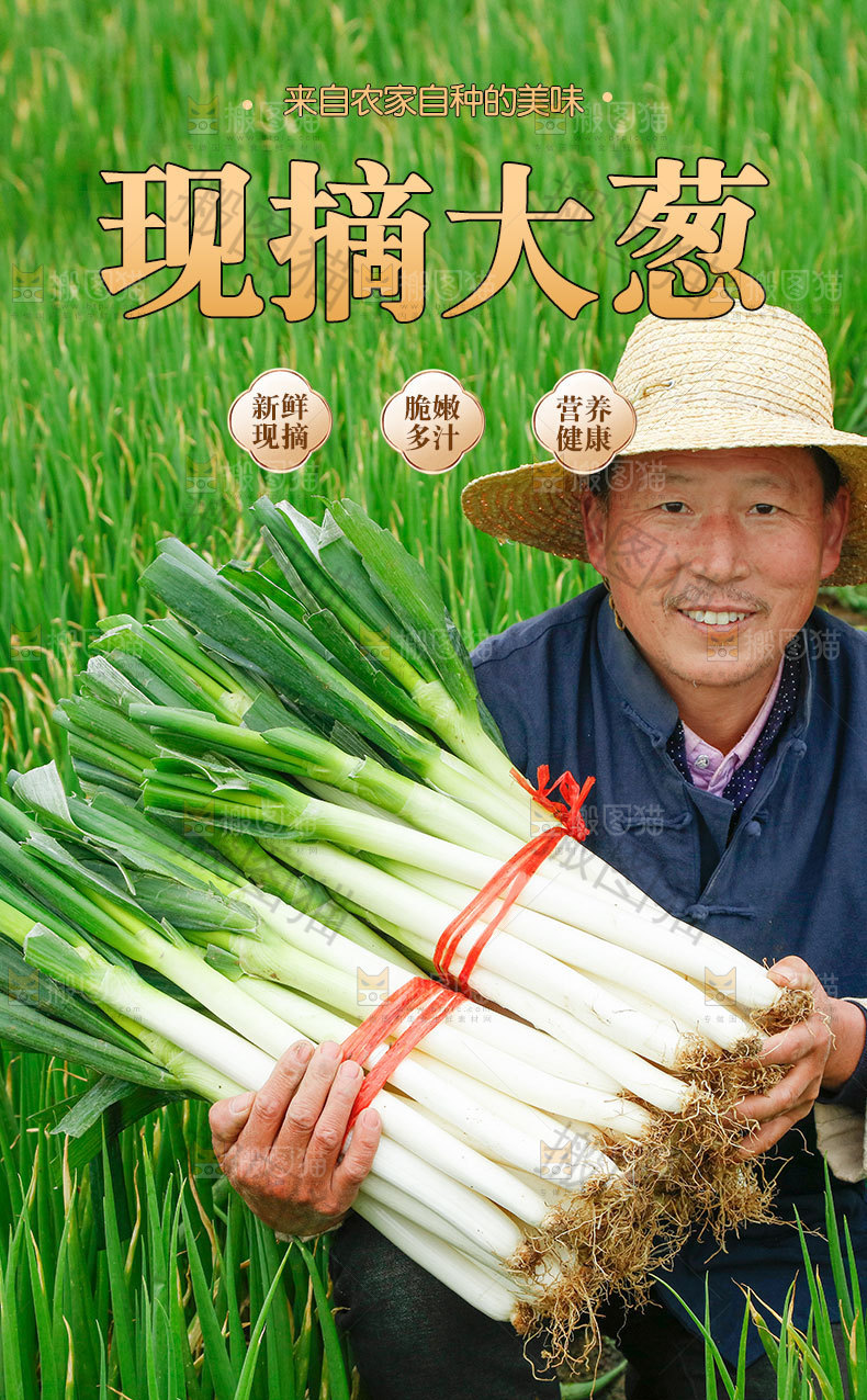 新鲜大葱详情页