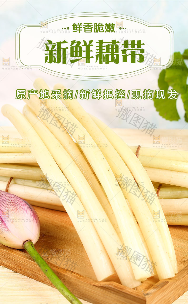 新鲜藕带详情页