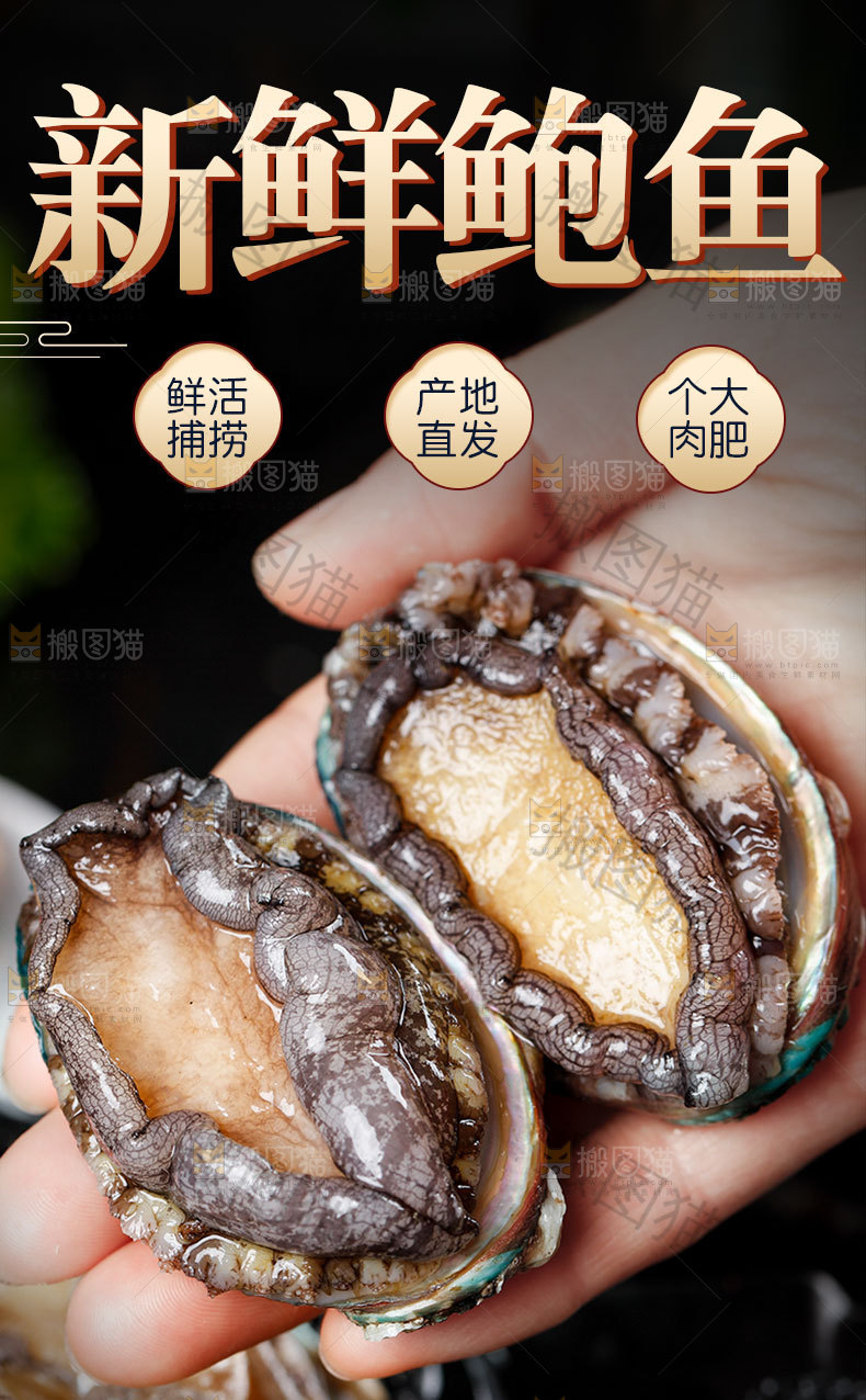 鲍鱼详情页