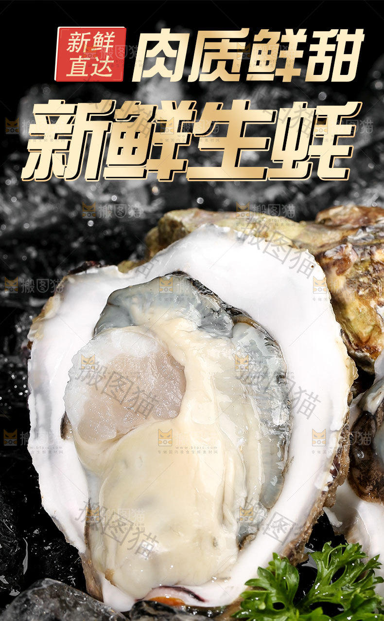 新鲜生蚝详情页