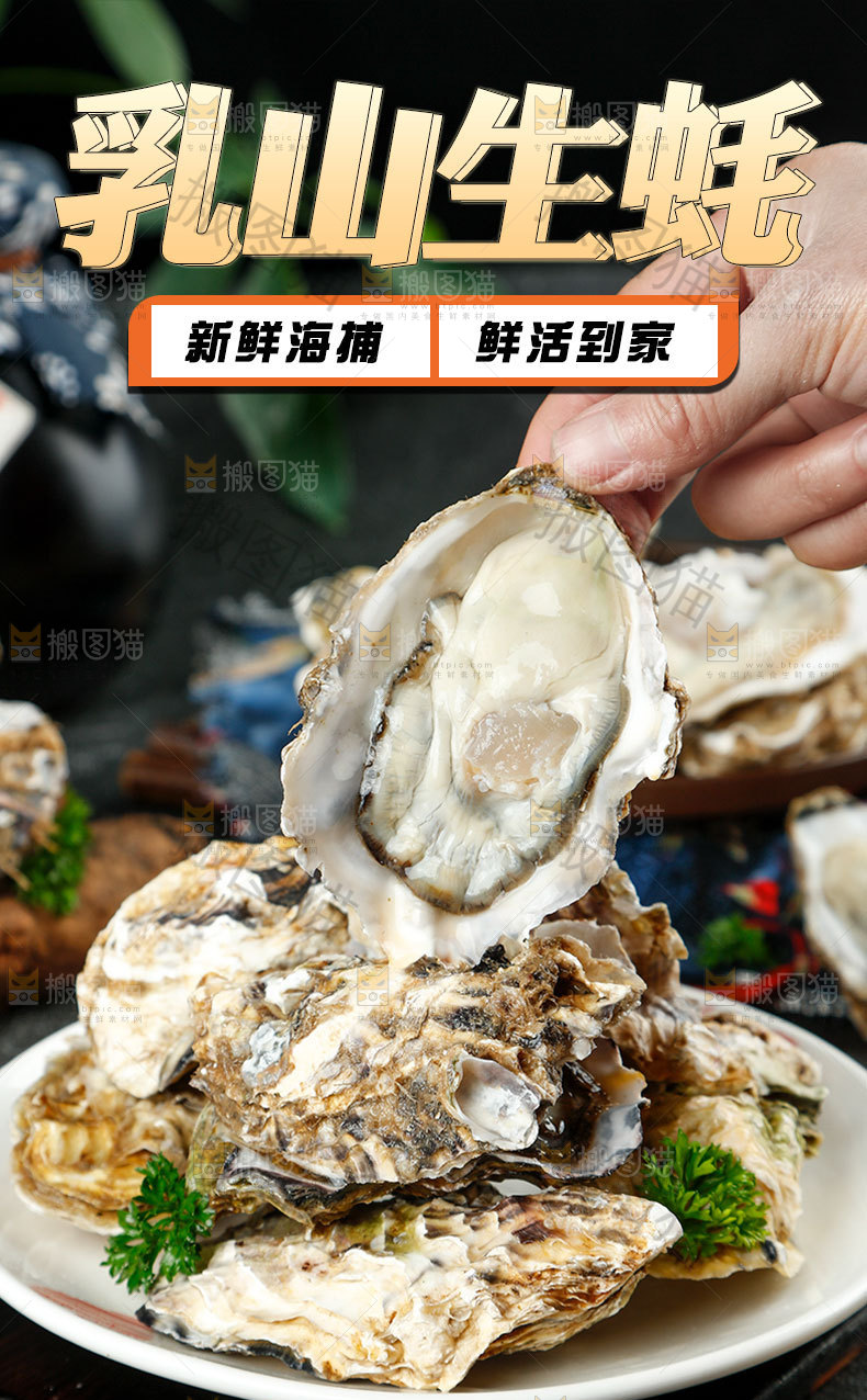 乳山生蚝详情页