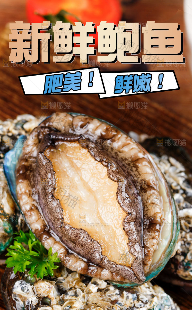 新鲜鲍鱼详情页