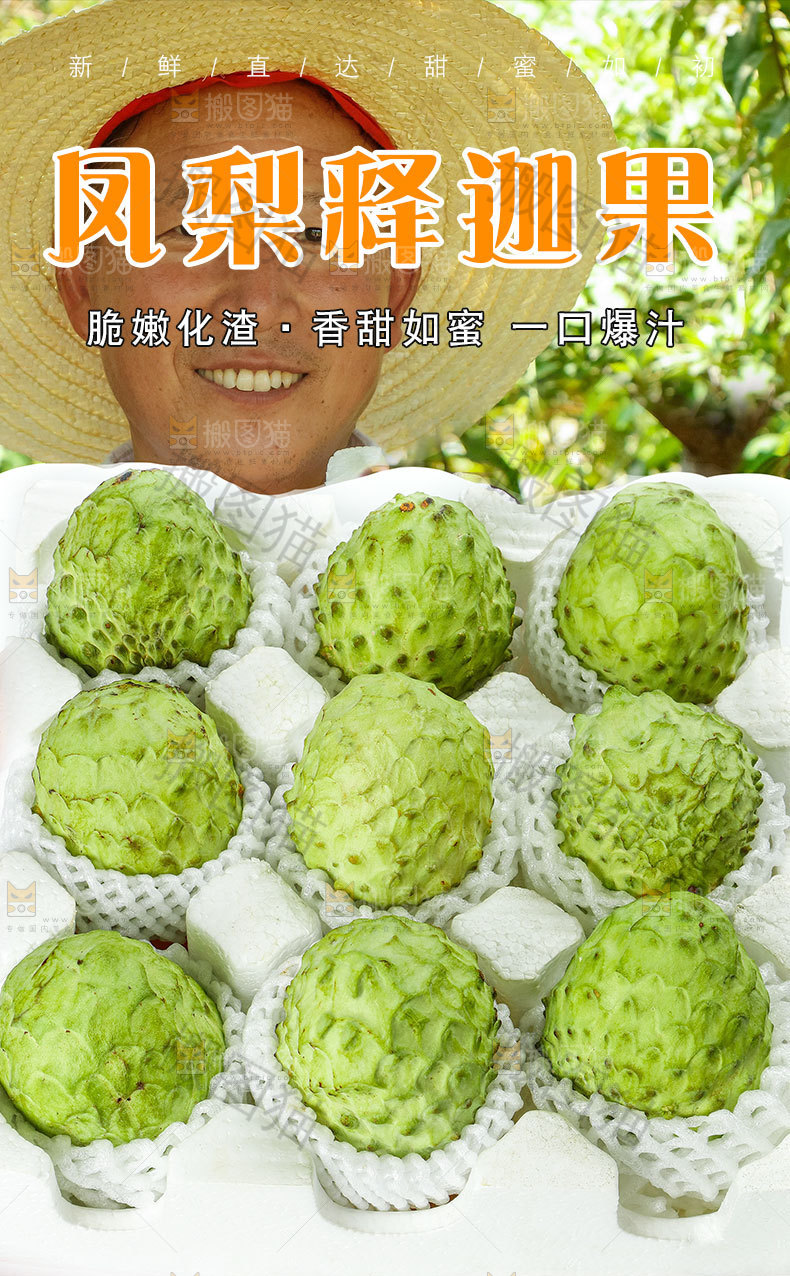 凤梨释迦果详情页