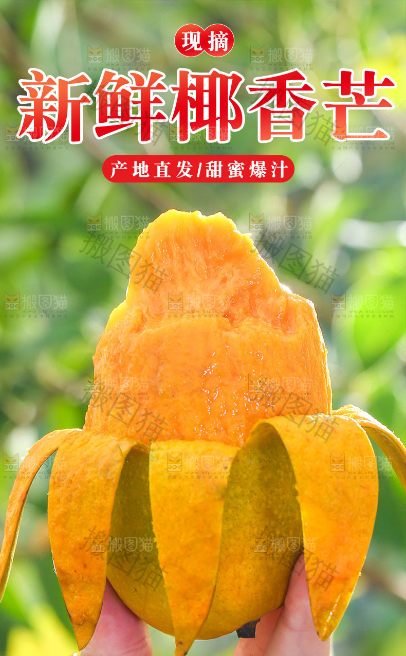 新鲜椰香芒详情页