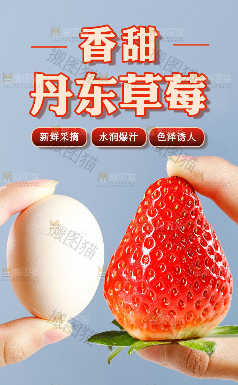 丹东草莓详情