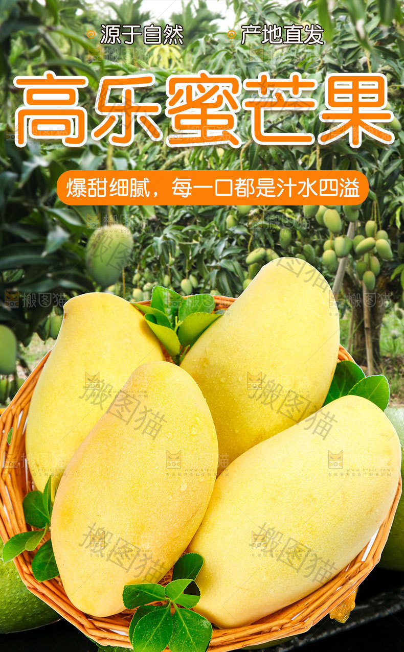 高乐蜜芒果详情页