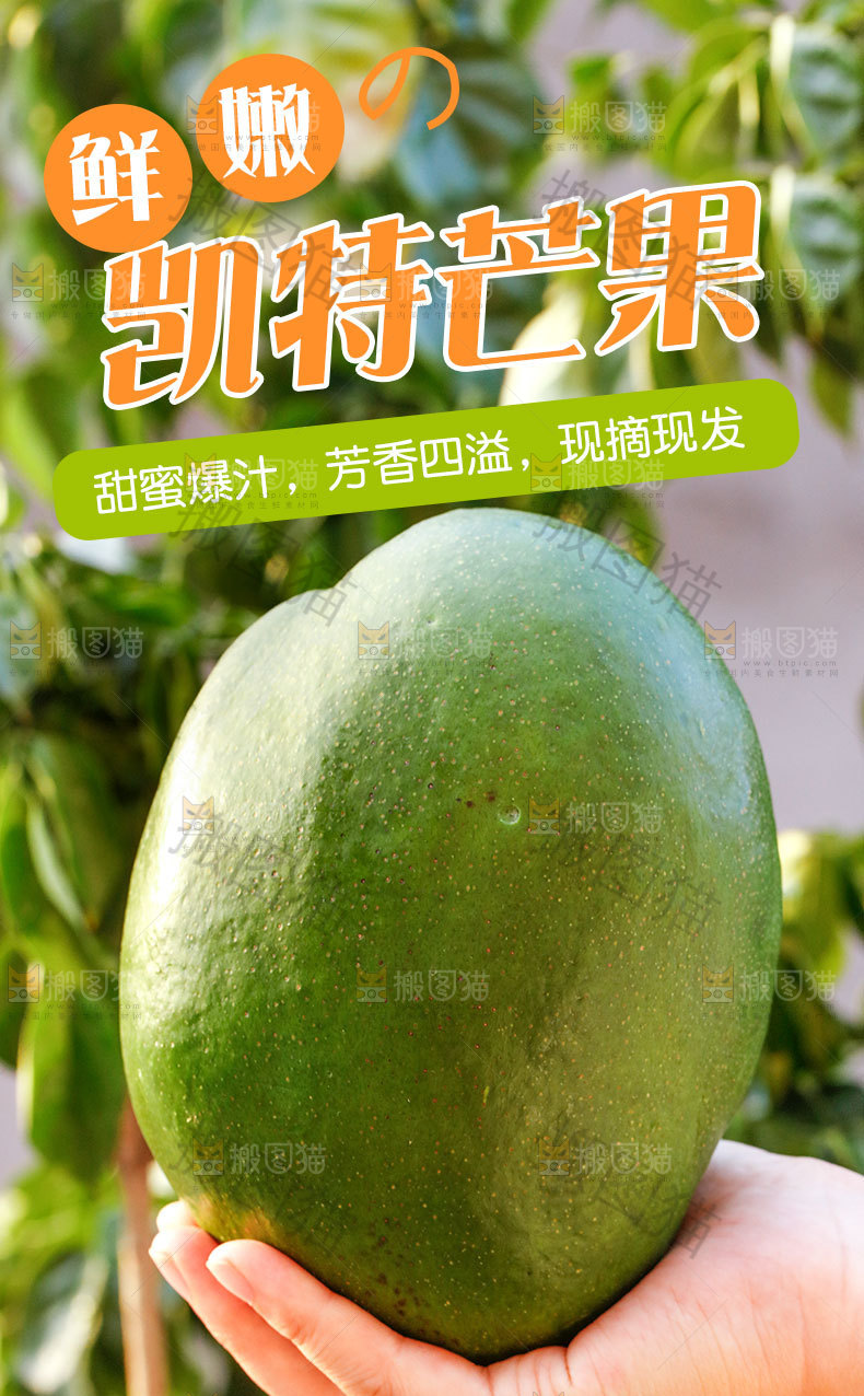 凯特芒果详情页