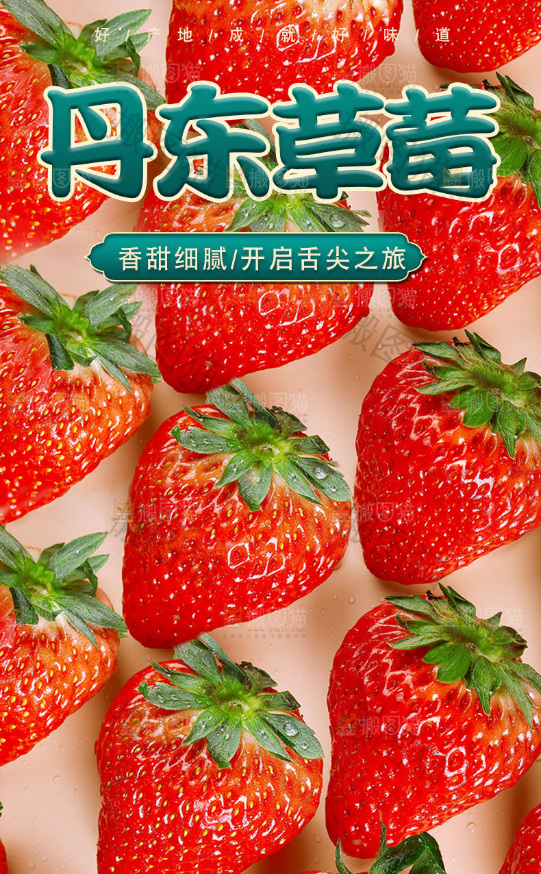 丹东草莓详情页