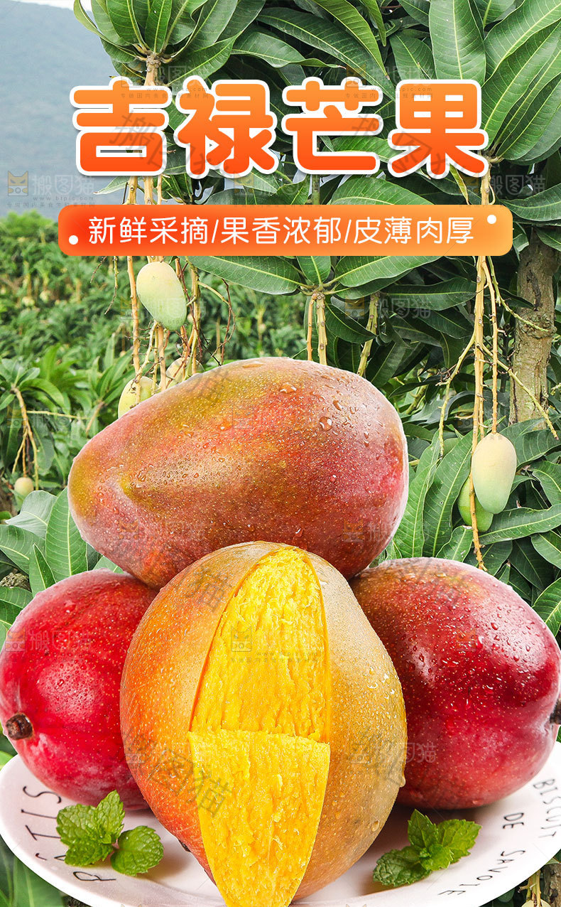 吉禄芒详情页
