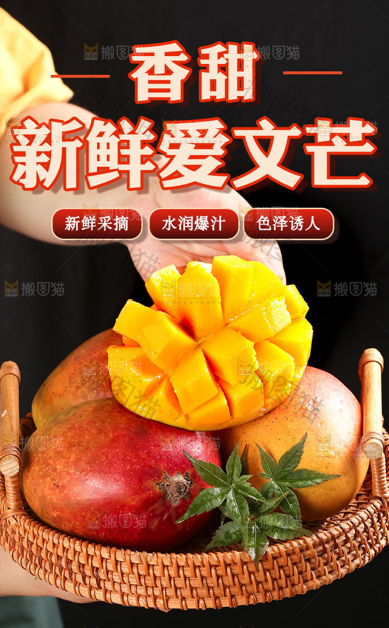 爱文芒详情页