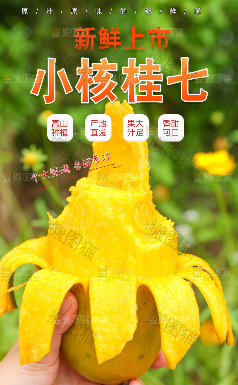 桂七芒详情页