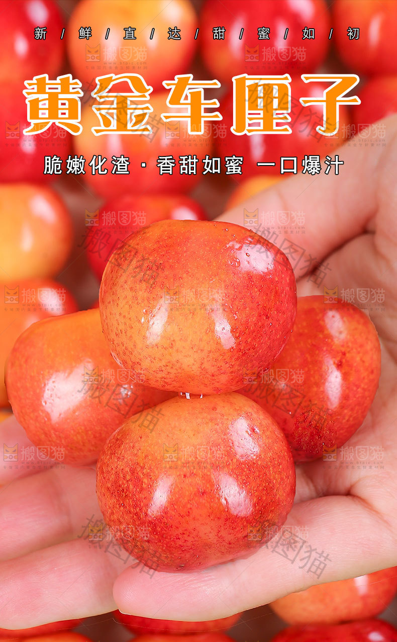 黄金车厘子详情