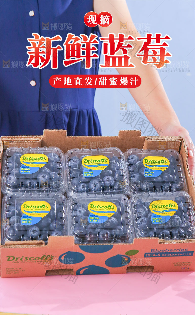 新鲜蓝莓详情页