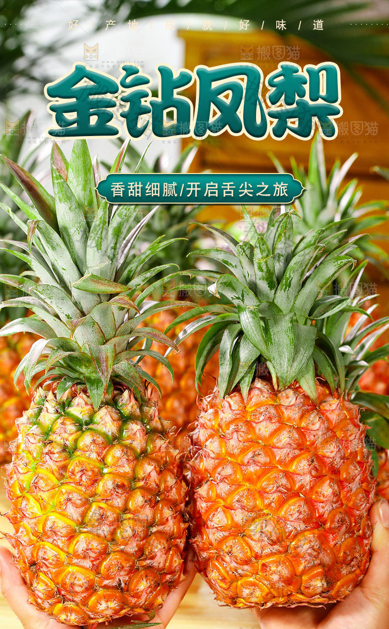 金钻凤梨详情页