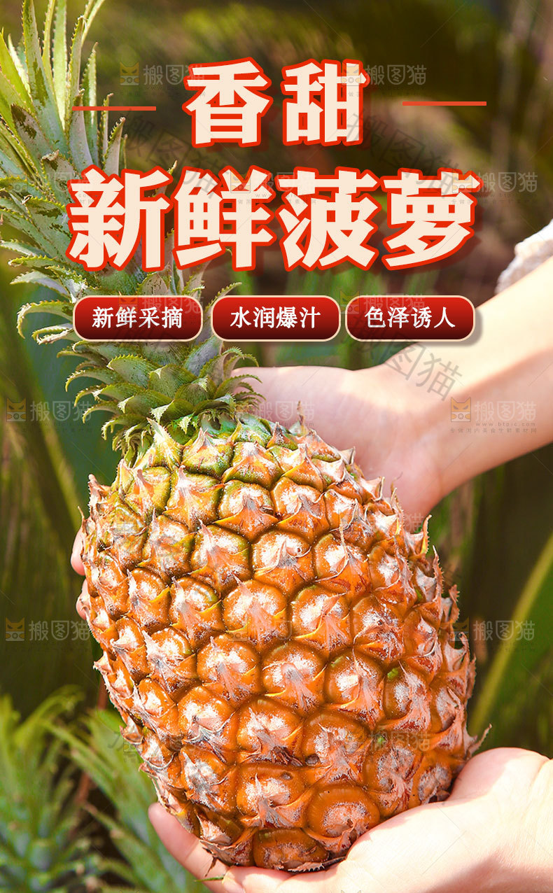 新鲜菠萝详情页