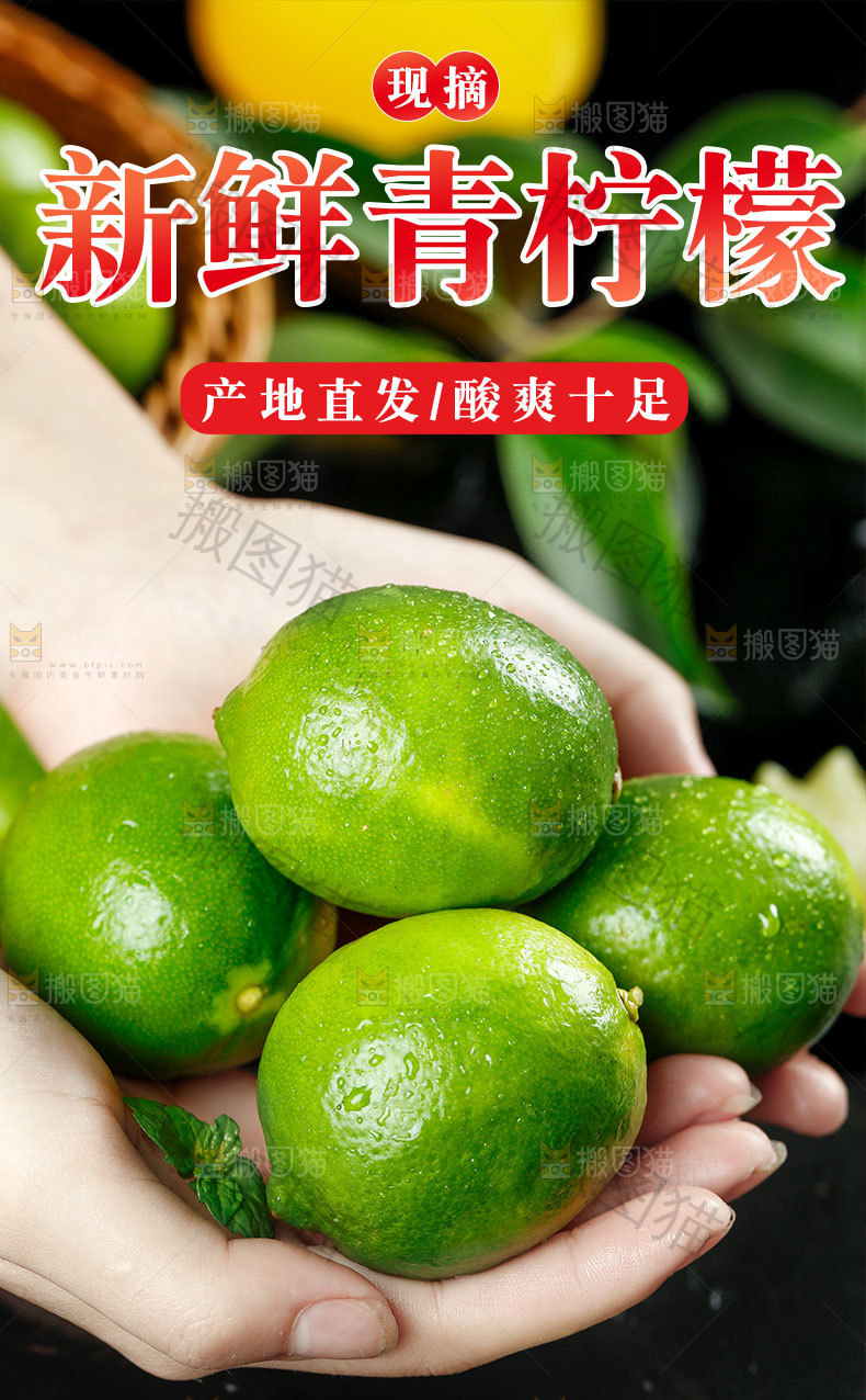 新鲜青柠檬详情页