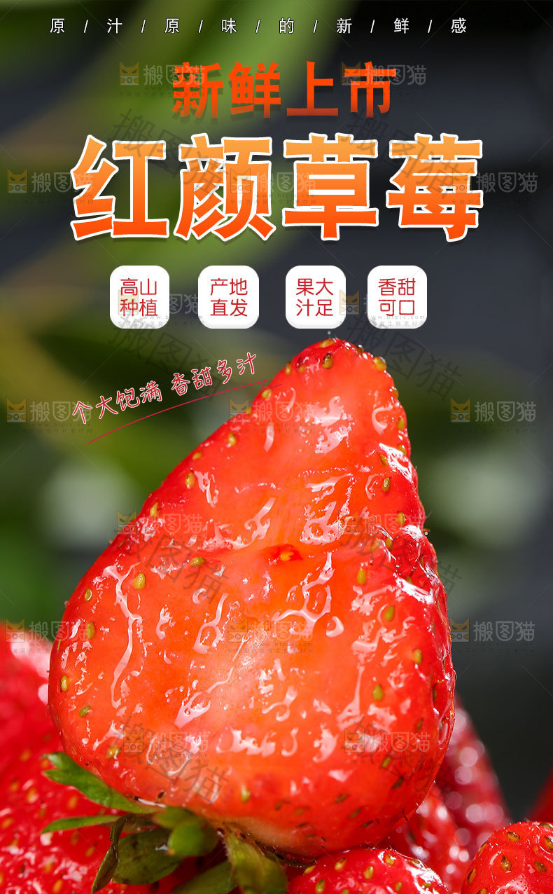 红颜草莓详情页