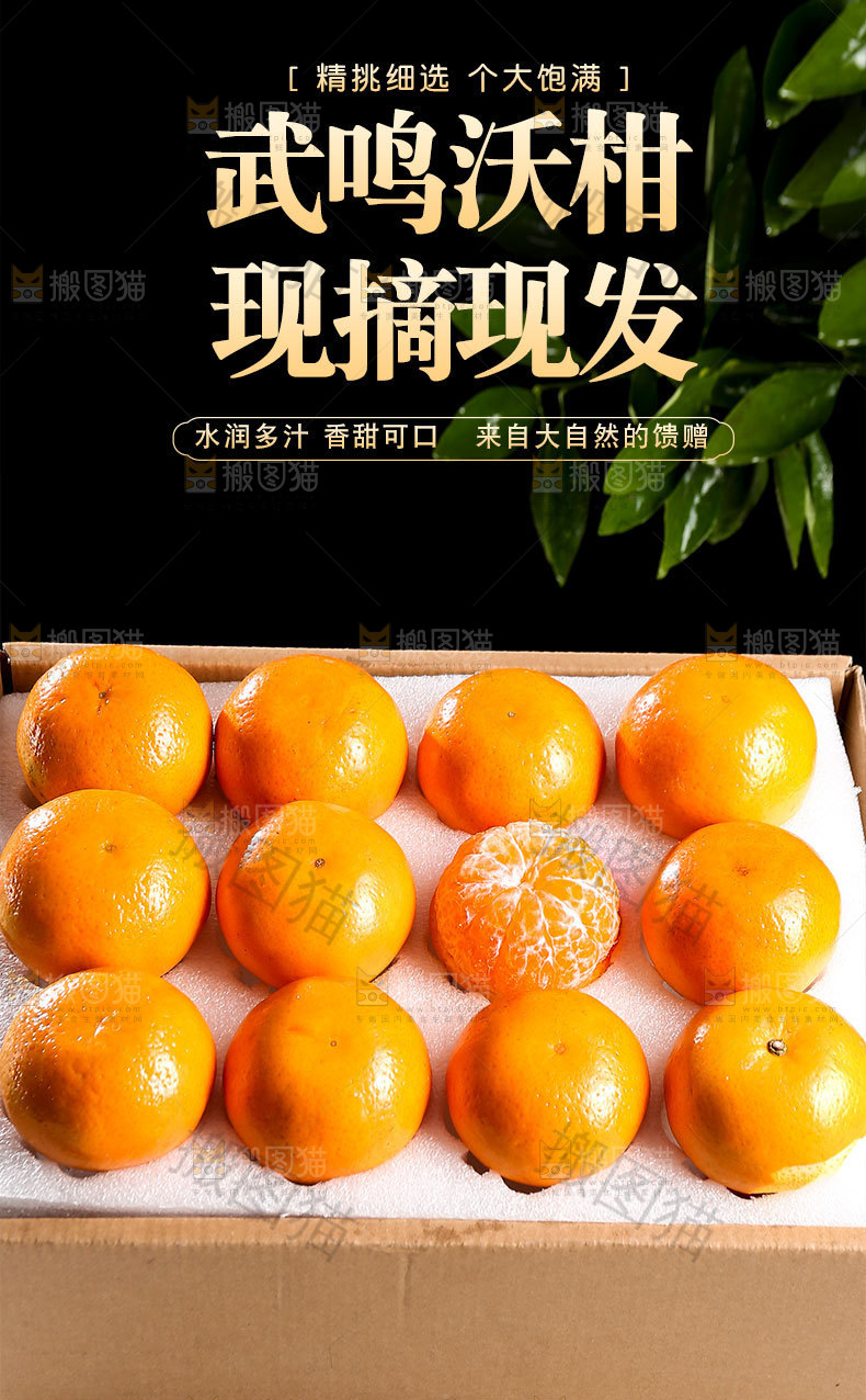 武鸣沃柑详情页