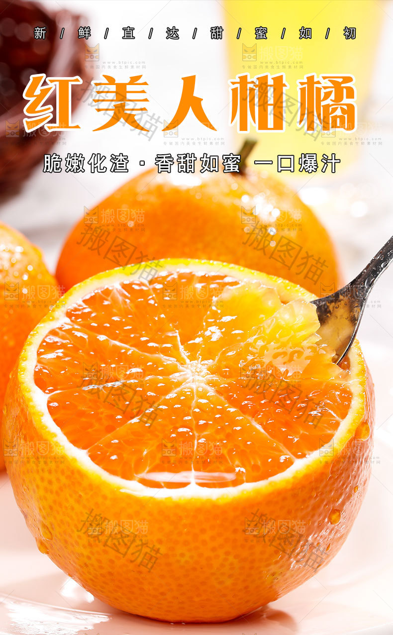 红美人柑橘详情页