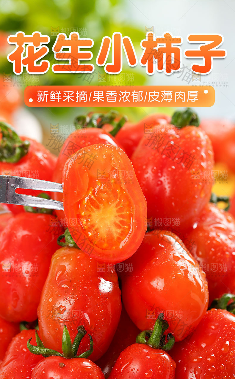 花生小柿子详情