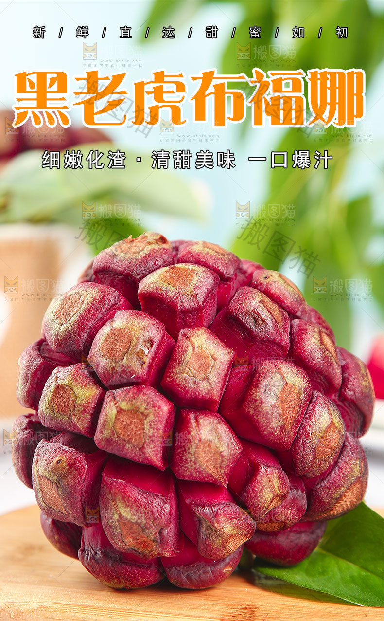 黑老虎布福娜详情页