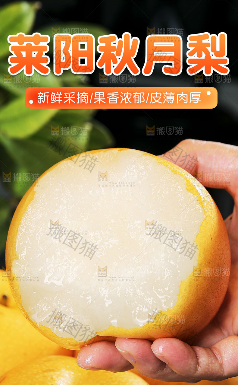 莱阳秋月梨详情页