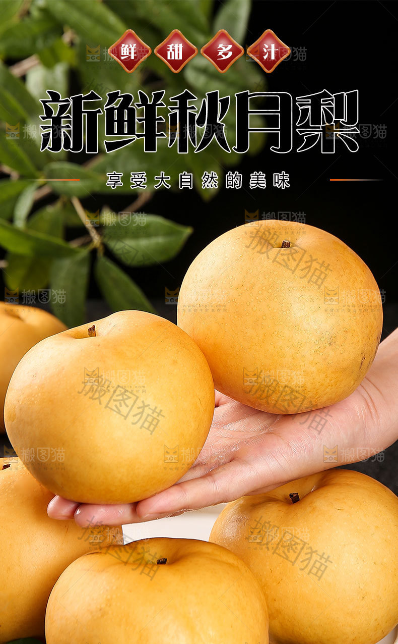 秋月梨详情页