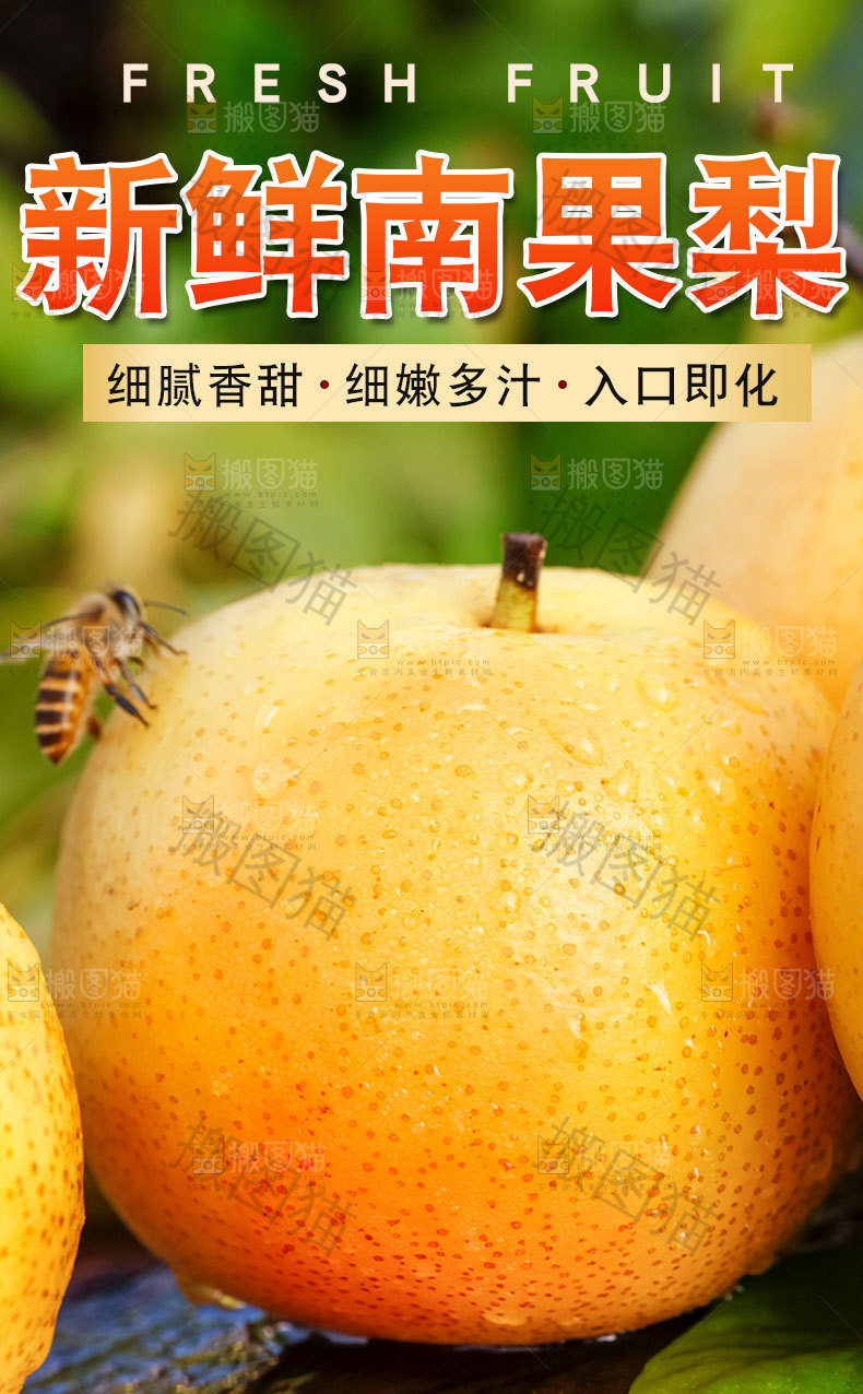 新鲜南果梨详情页