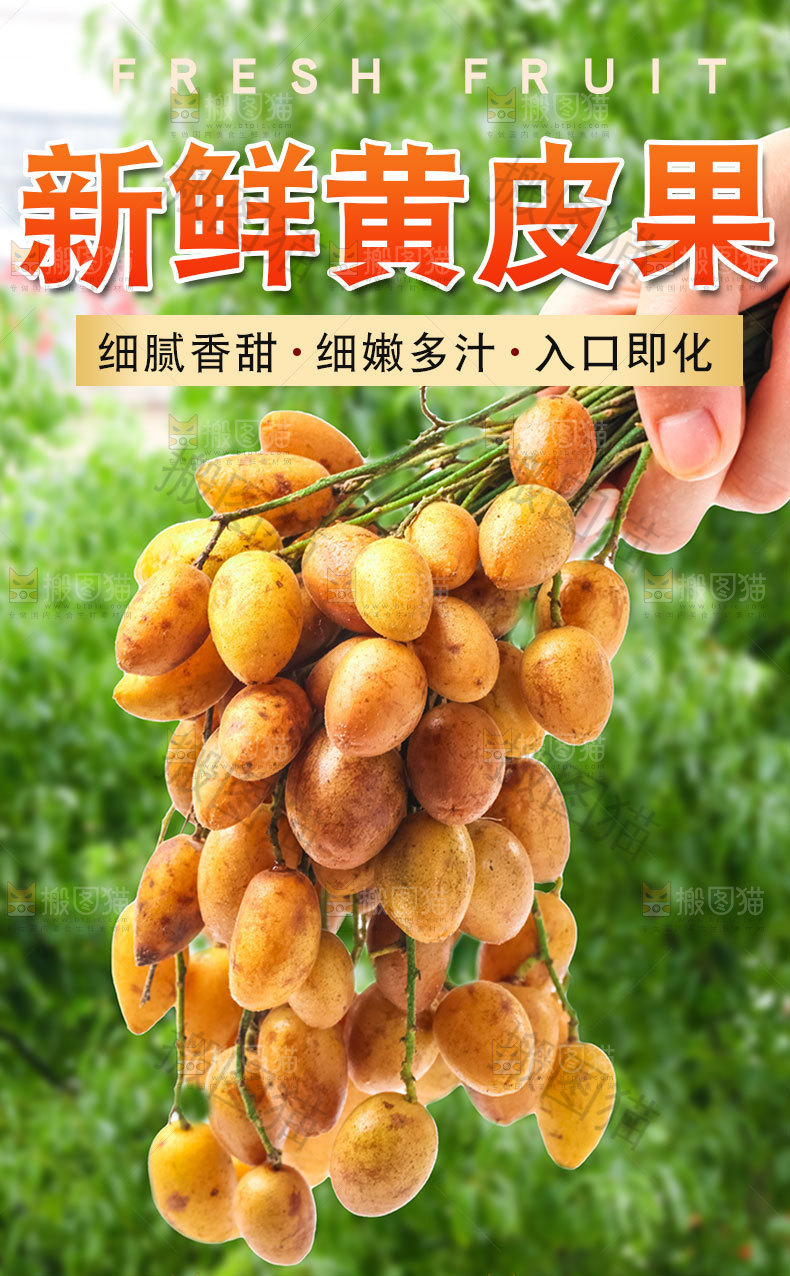 黄皮果详情页