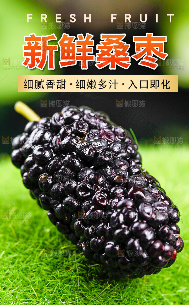 新鲜桑枣详情页