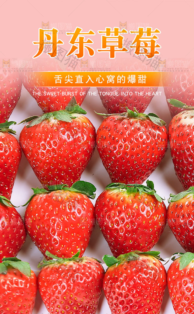 丹东草莓详情页