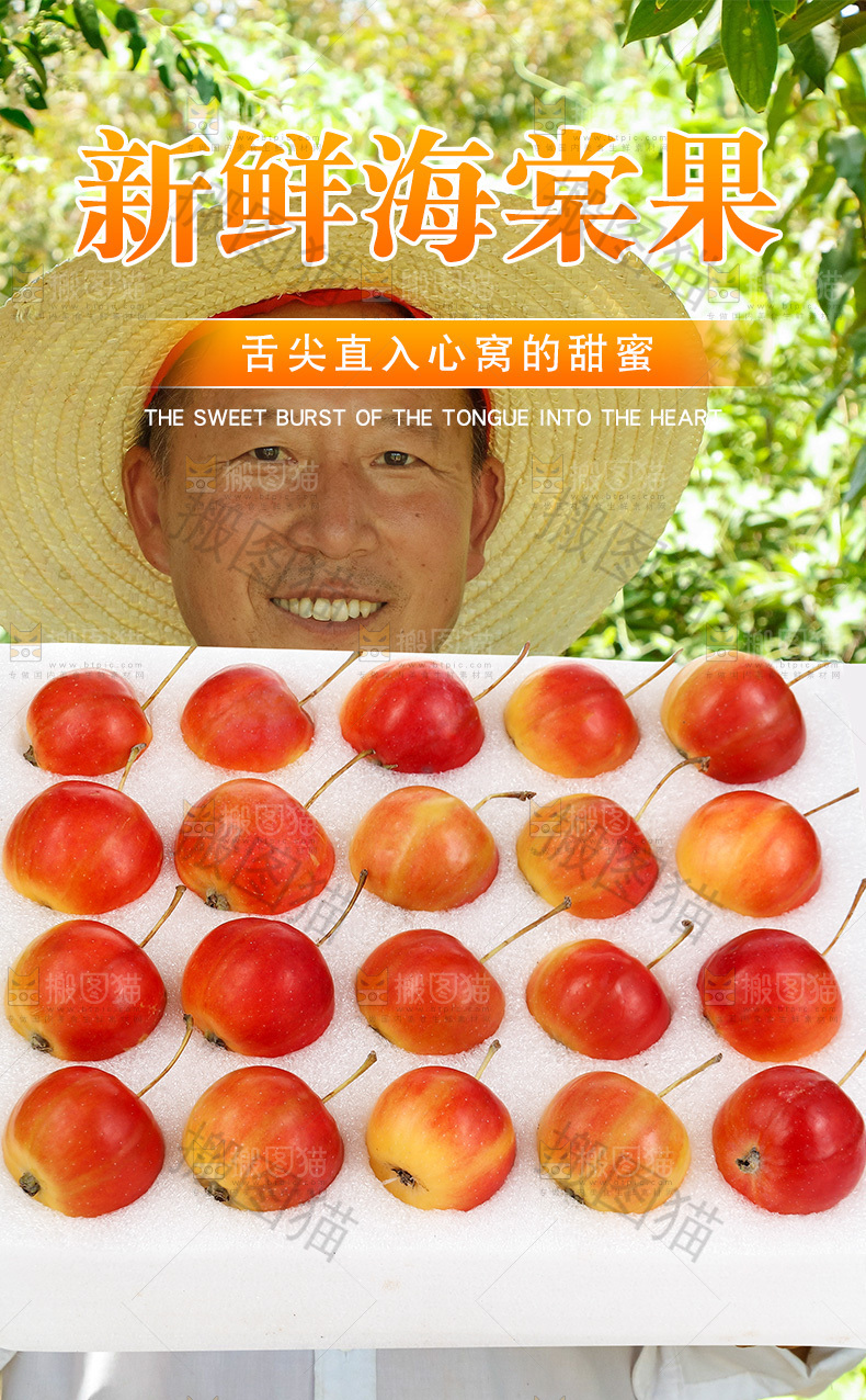 海棠果详情页