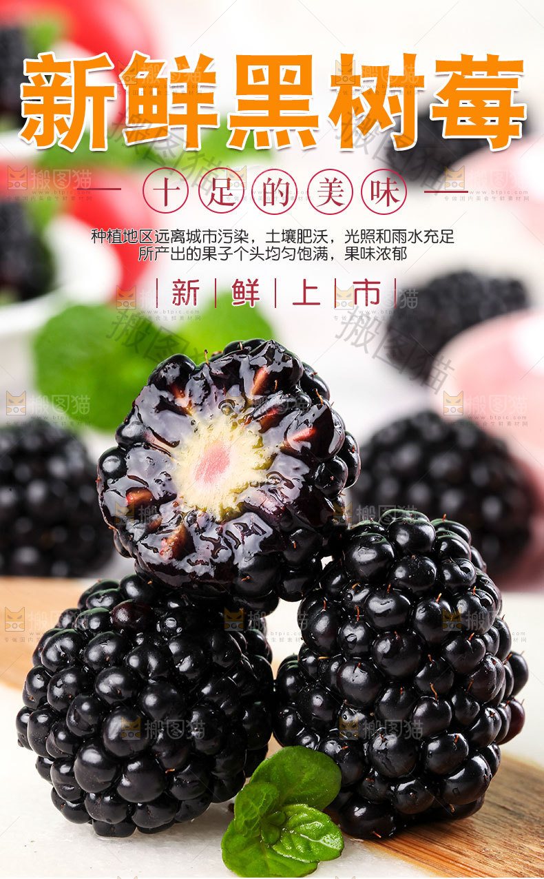 黑树莓详情页
