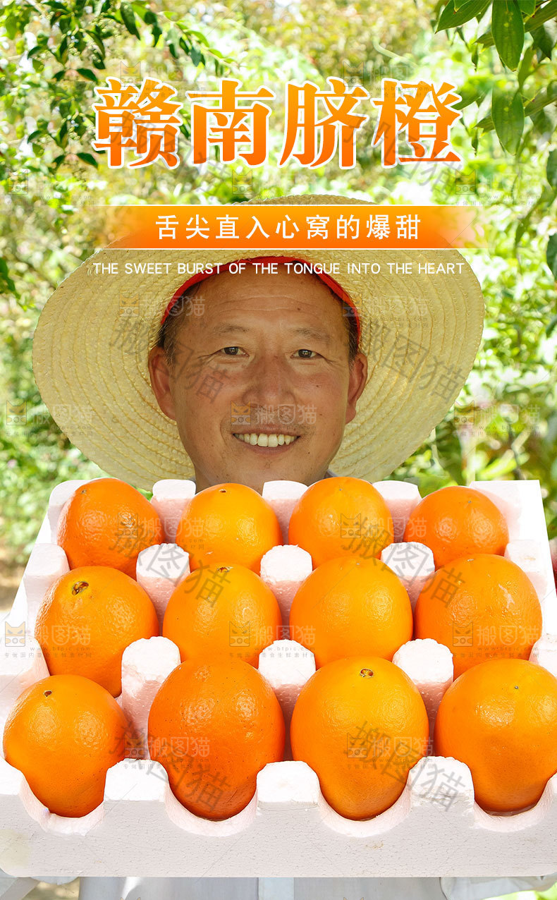 赣南脐橙详情页