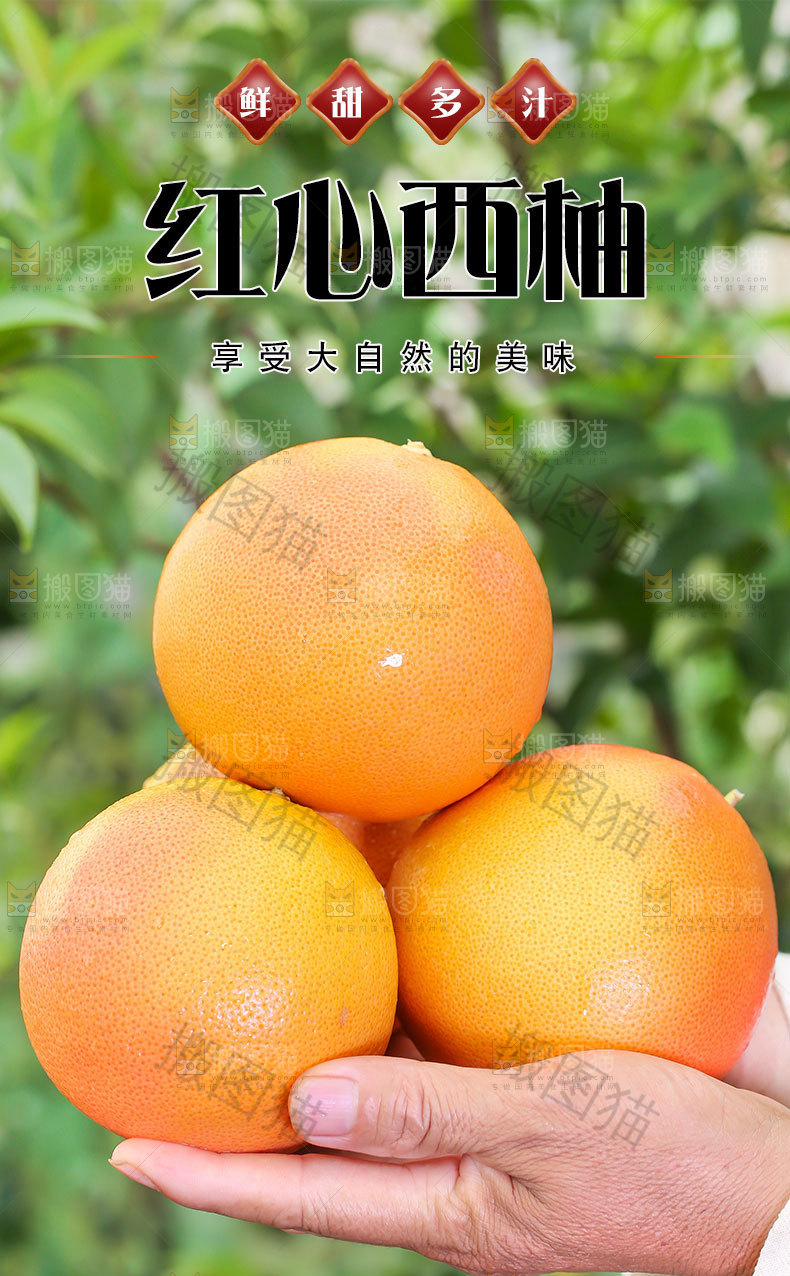 新鲜西柚详情页