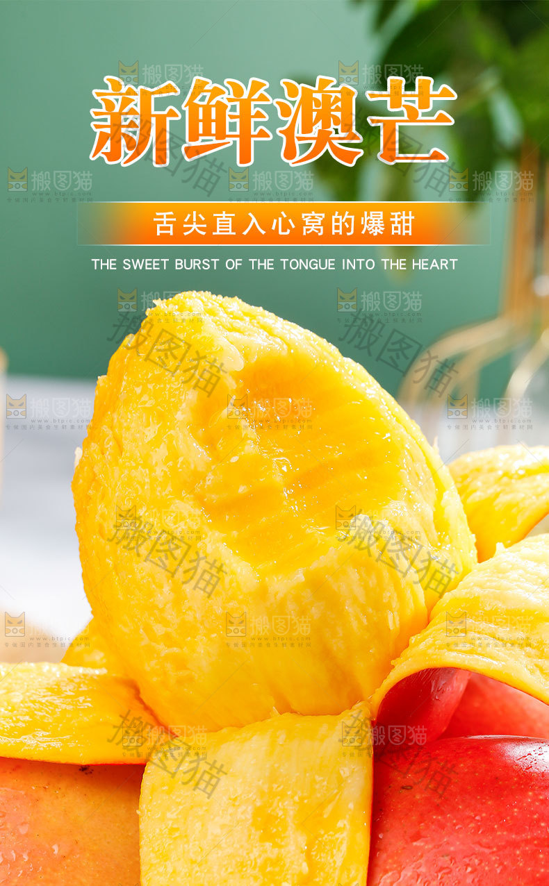 澳芒详情页