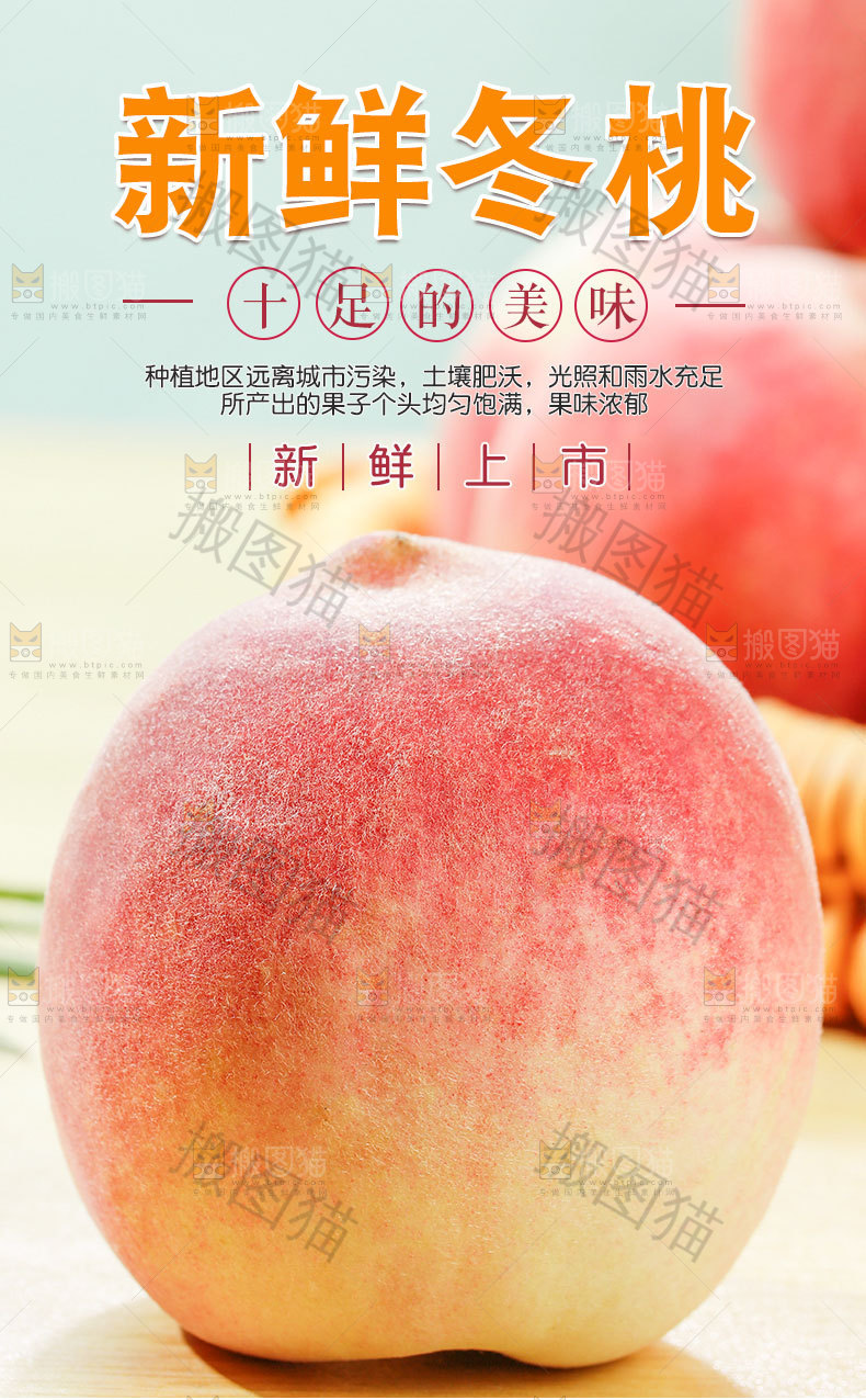 新鲜冬桃详情