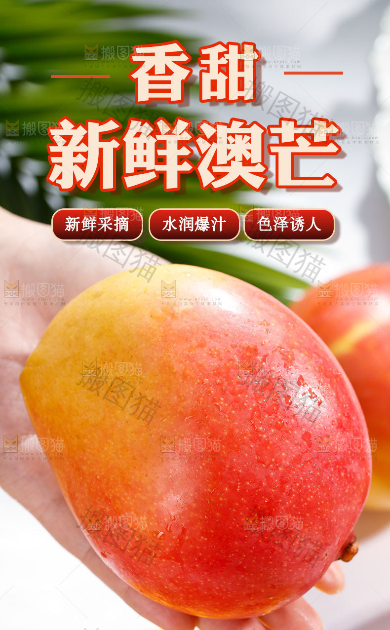 澳芒详情页